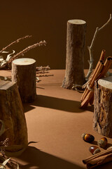 Logs, cinnamon and branches blend with light and shadow, creative photo for end of year fall...