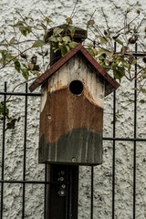 vogelhaus braun vogel