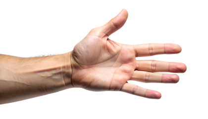 Human Hand Gesture: A close-up shot of an open human hand gesturing, highlighting the intricate details of the skin and veins, conveys a message of communication.
