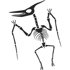 Pterodactyl Skeleton Silhouette Black on Transparent Background Ancient Prehistoric Flying Reptile Fossil Illustration © ALDOFA