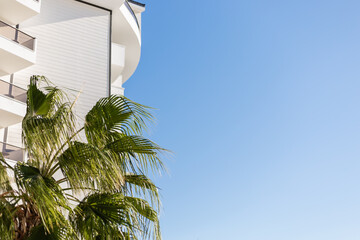 A sunny scene features vibrant palm trees beside a modern white building. The clear blue sky creates a relaxed atmosphere, perfect for enjoying the outdoors