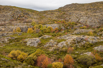 Autumn landscape with trees of different colors in the Sanabria natural park