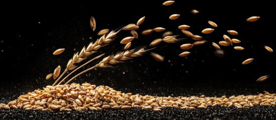 Golden wheat grains cascade against a dark backdrop, conveying abundance