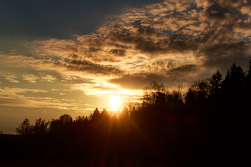 Fototapeta premium Golden sunset paints dramatic clouds over dark tree silhouettes, casting warm rays across the horizon