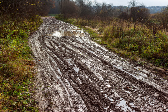 A severely rutted, muddy country road with standing water and tire tracks stretches through overgrown fields. An arduous, raw rural path
