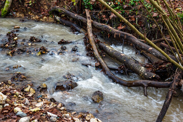 Muddy stream churning through a natural woodland, with fallen logs and wet autumn leaves. A vigorous water flow