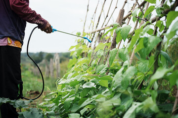 Agricultural worker spraying pesticides vineyard action shot outdoor setting close-up view sustainable practices