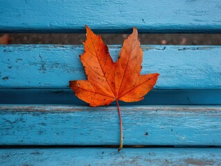 Autumn Maple Leaf Resting on Textured Blue Wooden Bench with Grains and Cracks in Outdoor Park Setting, Vibrant Orange Foliage Contrasting with Painted Wood Surface
