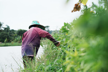 Gardening activity by the riverbank rural setting lifestyle photography natural environment close-up perspective
