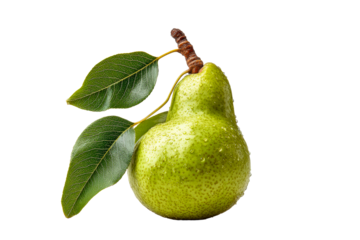 Green pear with stem and leaves on white background on a transparent background, cut out