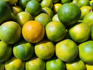 Close up shot of pile of fresh sweet lemon.