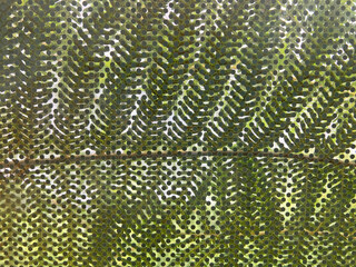 helecho verde visto a través de una ventana de cristal con vinilo de puntos IMG_2991-as25