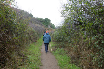 Groupe de randonneurs sur un sentier côtier en Bretagne