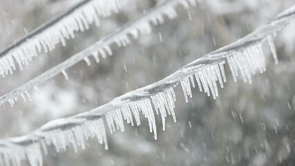icicles in the snow - Powered by Adobe