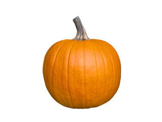 Large pumpkin isolated on white background