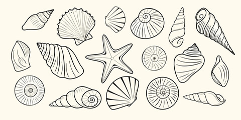 Collection of hand drawn line art seashells and starfish on a cream background
