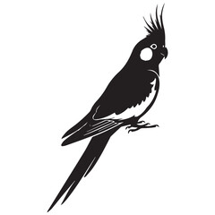 Black and white silhouette of a cockatiel bird