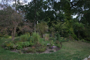 Vegetation in the woods