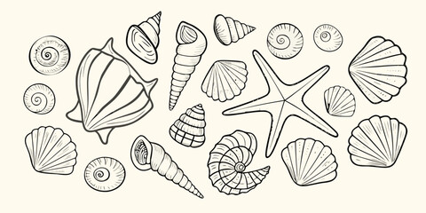 Collection of hand drawn seashells and a starfish in a simple line art style on a light background
