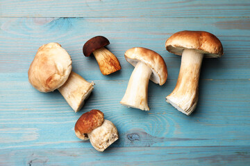 Fresh porcini mushrooms on light blue wooden table, flat lay
