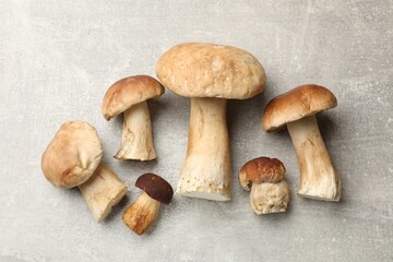 Fresh porcini mushrooms on grey table, flat lay