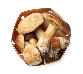 Fresh porcini mushrooms isolated on white, top view