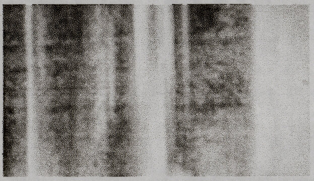High-resolution scan of a thermal paper misprint with visible halftone texture and soft gradient noise.