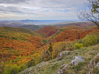 Vibrant autumn view from the Sima-kő lookout in the Bükk Mountains, Hungary. A wide forested valley unfolds below with golden, red, and green foliage under dramatic clouds.