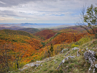 Wide panoramic view of the Bükk Mountains in autumn colors from the Sima-kő lookout. Rolling...