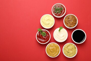 Different sauces and herbs on red background, flat lay. Space for text