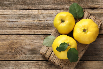 Fresh ripe quinces with leaves on wooden table, top view. Space for text