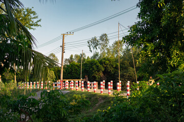 Rural Landscape of Bangladesh: Tranquil Afternoon Scene