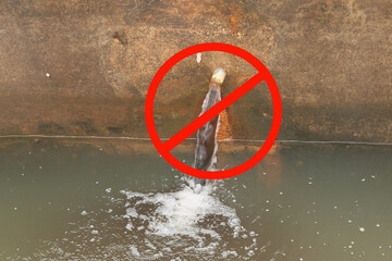 Water pollution in canal because industrial not treat water before drain.