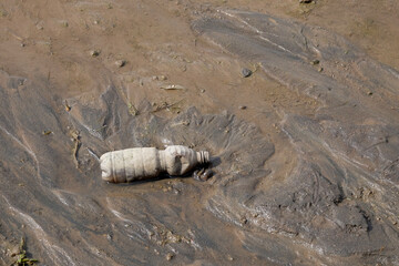 Used plastic drink bottles lying on the sand of the river bank. Plastic waste causes pollution. Ecological and environmental concepts. For graphic design, 3D rendering and banners