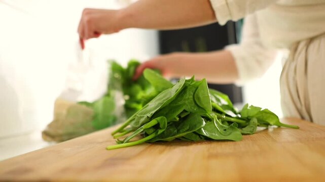A woman carefully arranges fresh spinach leaves on a kitchen table, preparing healthy ingredients for cooking a homemade meal.