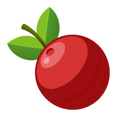 cranberry on white background