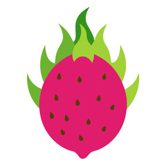 dragonfruit vector