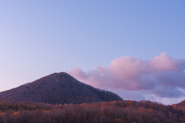 秋、早朝の散歩道