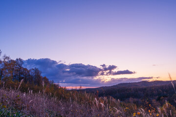秋、早朝の散歩道