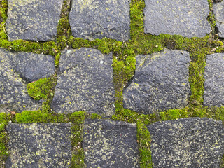 moosiges Granitpflaster