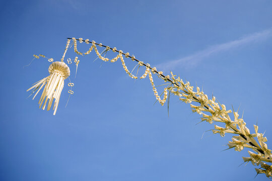 penjor from coconut palm installed to enliven the event