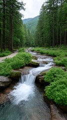 Lush green forest with a clear mountain stream flowing over rocks and surrounded by vibrant foliage on an overcast day