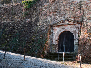 Arched Wooden Door in Stone Wall with Vines