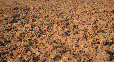 freshly plowed soil in an agricultural field
