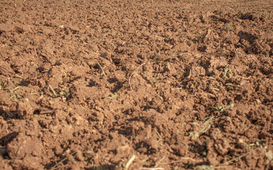 freshly plowed soil in an agricultural field