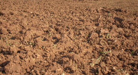 freshly plowed soil in an agricultural field
