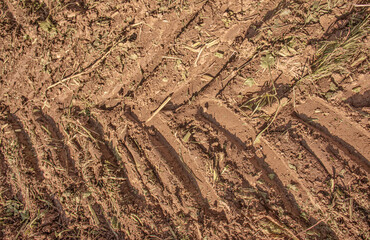 muddy tractor tire tracks on a harvested field