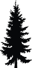 Silhouette of tall coniferous pine tree with blue outline, isolated forest evergreen vector for nature, winter, and holiday design