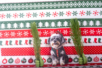 Christmas landscape with gifts and snow. Merry christmas and happy new year . Christmas celebration holiday background