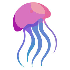 jellyfish on black background